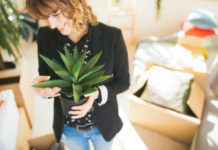 De 10 beste kamerplanten om de lucht in uw huis te zuiveren